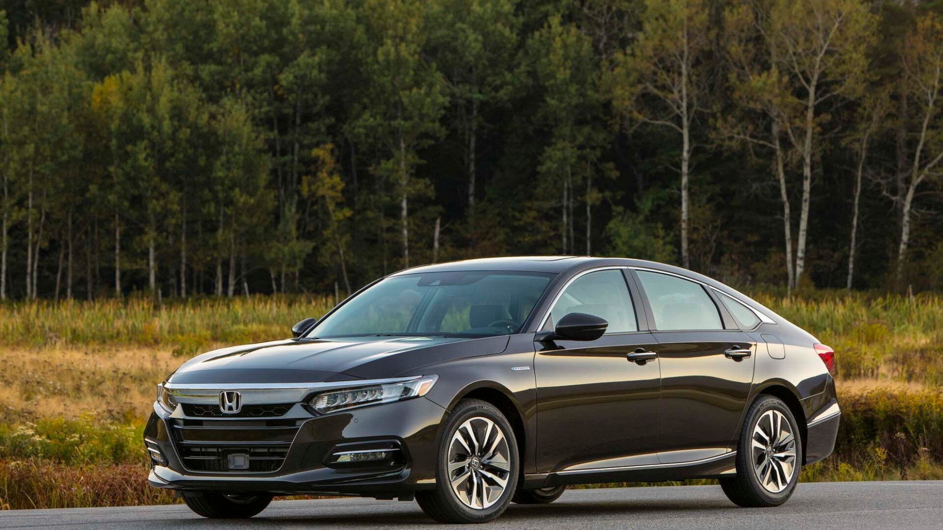 Honda Accord News - Green Car Photos, News, Reviews, and Insights  - 2024 Honda Accord Hybrid